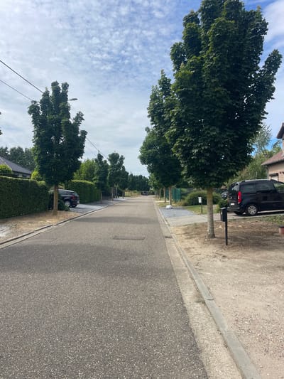 The image depicts a residential street in Diepenbeek, Belgium. A paved road runs through the center of the frame, lined with manicured hedges and trees on either side. Several dark-colored vehicles are parked on the street and in driveways. The architecture visible includes houses with tiled roofs and brick facades. The sky is partly cloudy with a mix of blue sky and white clouds. The overall impression is a quiet, suburban street scene.