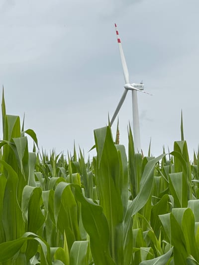 A low-angle shot looks through a field of tall, green corn stalks at a white wind turbine with red stripes on its blades and a white nacelle that reads "SUZLON". The sky is overcast and grey. The image was taken in Kolubaivtsi, Ukraine.