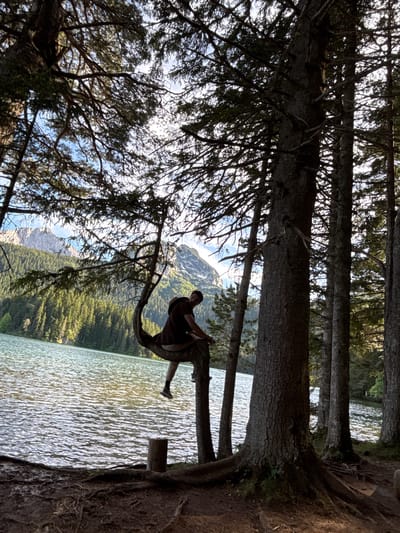In Pitomine, Montenegro, a person sits perched on a curved tree branch overhanging a body of water. The individual is facing away from the camera, their torso hunched and legs dangling. They are wearing a dark t-shirt and light-colored shorts. The tree branch is thick and gnarled, with one section extending horizontally and then curving upwards to support the person. The water is a calm expanse, reflecting the sunlight and the surrounding trees. In the background, a dense forest of green trees covers a mountainside, with rugged, snow-capped peaks rising above the treeline under a bright, partly cloudy sky. The foreground shows the dark, exposed roots of trees and the forest floor.