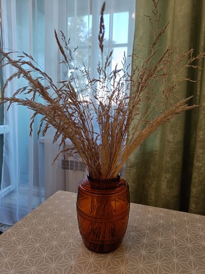 A still life composition features a bouquet of dried grass stalks in an amber glass vase. The vase has a ribbed texture and is placed on a table covered with a patterned tablecloth. In the background, sheer white curtains are drawn back, revealing a window with a view of trees and a green curtain on the right. The scene appears to be indoors, with soft natural light filtering through the window, suggesting it might be daytime. There are no people visible in the image. The overall mood is calm and serene, with a focus on natural elements and decorative objects. The location is identified as Vichuga, Russia.