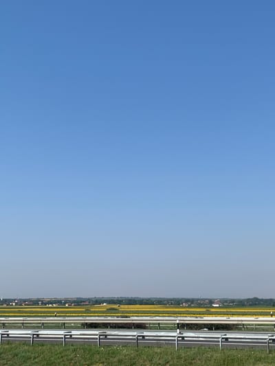 The image depicts a vast, clear blue sky dominating the upper two-thirds of the frame. Below the sky, a distant landscape stretches horizontally, featuring a town or village with scattered buildings and structures nestled amongst green trees. In the mid-ground, a vibrant yellow field, likely sunflowers, creates a striking visual element. In the foreground, a highway barrier made of metal posts and rails separates the viewer from a grassy verge. The scene appears to be set in Indjija Municipality, Serbia, on a bright, sunny day, suggesting an outdoor, possibly rural or semi-rural, environment. There are no visible people or animals.