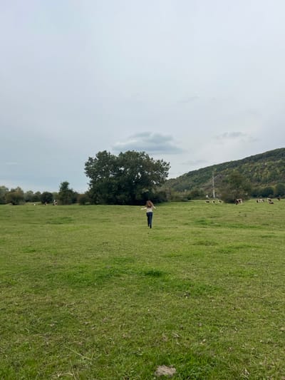 The image depicts a wide outdoor scene of a green pasture located in Vernon, France, under an overcast sky. A single female individual is visible from the rear, positioned in the lower-middle ground, running towards the center of the frame. She has long, light-colored hair and is wearing a light-toned, long-sleeved top and dark trousers; her arms are slightly outstretched to the sides. In the mid-ground, to the left of the running individual, stands a large, dense, dark green tree. Further into the background, along the right side of the field, approximately eight to ten cows with brown and white markings are scattered, some grazing or standing. A natural, tree-covered hillside rises in the far background on the right, while a line of various trees and bushes forms the horizon on the left and center-left. The sky is uniformly light grey with indistinct cloud formations. The foreground consists of unmanicured green grass, showing minor variations in texture and some scattered brown patches, including a small dirt mound in the lower right corner. A thin, light-colored line, possibly a wire or rope, is faintly visible horizontally across the lower left foreground.