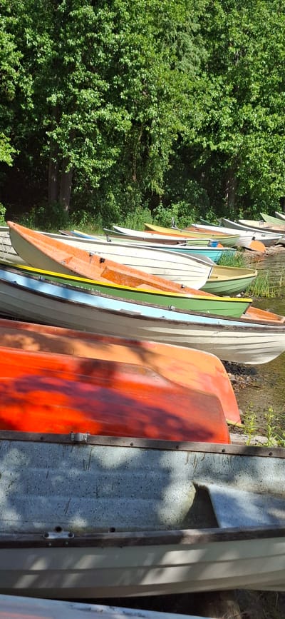 This image captures a collection of rowboats lined up on the shore of a body of water, likely a lake or river, in Lahti, Finland. The boats are of various colors, including orange, white, green, and blue, and are positioned at different angles, with some resting on the bank and others partially in the water. The background is dominated by a dense growth of lush green trees, indicating a natural setting. The lighting suggests it is daytime, with sunlight casting shadows on some of the boats, particularly the bright orange one in the foreground and the grey one below it. The scene is peaceful and appears to be a storage or launching area for recreational boats. There are no people visible in the image. The overall impression is one of a serene summer day by the water.