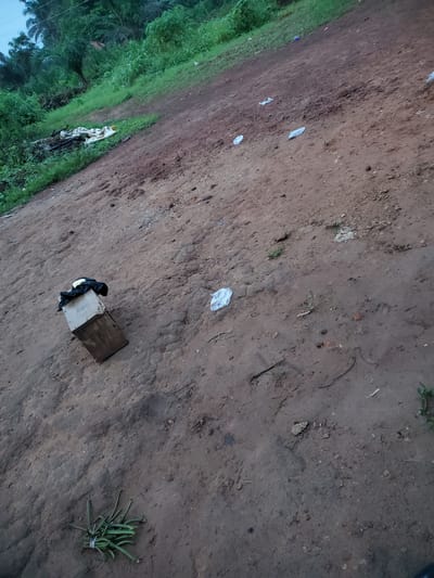 The image depicts a dirt pathway with scattered debris, including plastic bags and a bundle of green plant stems tied with a white band. In the foreground, a wooden box is placed on the ground, covered with black and yellow material. The pathway is surrounded by lush green vegetation and trees, indicative of an outdoor setting, likely in the outskirts of Oturkpo, Nigeria. The lighting suggests it might be early morning or late evening.