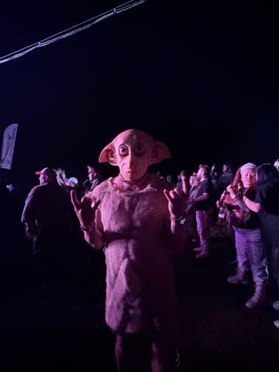 An outdoor nighttime scene in Большая Кивара, Russia, captures a gathering illuminated by pink and purple artificial light. The central figure, facing the camera, wears a detailed Dobby (Harry Potter character) mask and a rough, sack-like tunic, making a "rock on" hand gesture with both hands. A watch is visible on their left wrist. To the left, a person in a red cap and dark shirt is partially visible among indistinct figures. A white banner or flag stands on the far left. To the right of the central figure, a woman with reddish hair and a white patterned bandana is seen holding a bottle and conversing with another individual; she wears ripped jeans and light-colored boots. Several other people are present throughout the background, largely silhouetted or partially lit. The ground appears to be dark earth. Overhead, two horizontal lines, possibly wires or ropes, are visible against the dark sky, one exhibiting a faint green luminescence.