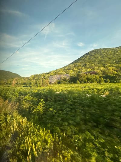 The image depicts a landscape viewed from a moving vehicle, likely a train, given the diagonal power line cutting across the sky. The foreground is dominated by a blurred expanse of lush green vegetation, appearing to be crops or a dense field, with some taller, dried grasses on the left. In the mid-ground, there is a mixture of trees and a partially obscured building with a light-colored, possibly concrete, structure. Further back, a prominent, tree-covered hill rises, with patches of yellow wildflowers or flowering bushes adding color to its green slopes. The sky above is a pale blue, with wispy white clouds. A single utility pole is visible on the right side of the frame, near the hill. The overall impression is one of a rural, sunlit scene in Kaspichan, Bulgaria.