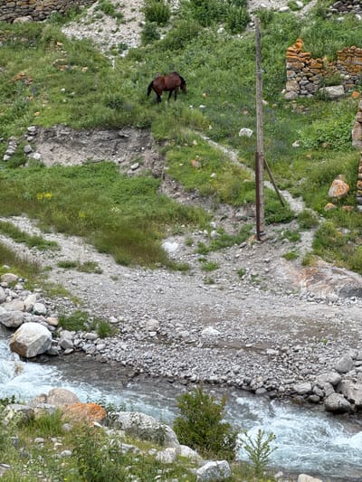 The image captures a mountainous landscape with a clear river flowing through it. A solitary brown horse grazes on a grassy slope dotted with small purple flowers. To the right, remnants of a stone structure, likely an old dwelling or fortification, are visible, with weathered stones and orange moss. A wooden utility pole stands prominently on the slope, partially obscured by foliage. The river is bordered by an abundance of rocks of various sizes. The environment suggests a rural or remote mountainous region.