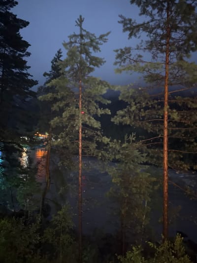 The image depicts a nighttime scene in Barangol, Russia, characterized by a dark, twilight sky and the dimly lit landscape surrounding a river. Silhouetted pine trees dominate the foreground, their branches reaching towards the sky. The river flows in the middle ground, reflecting the warm glow of artificial lights emanating from structures on the opposite bank. These structures appear to be illuminated buildings, possibly part of a settlement or resort. The water's surface shows subtle ripples, indicating movement. The overall atmosphere is serene and nocturnal, with hints of human presence in the distant lights.