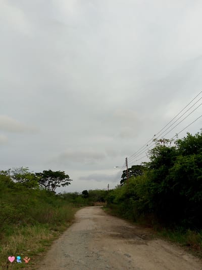 The image depicts a dirt road in a rural or semi-rural setting. The road curves gently to the right and recedes into the distance. It is flanked by dense green vegetation on both sides. In the background, the sky is overcast with gray clouds. Power lines with several poles and wires run along the right side of the road, and a street lamp is visible in the distance. Several small birds are perched on the power lines. The foreground shows some small icons: a pink heart, a blue jellyfish, and a coral object. The scene appears to be located in El Cercado, Venezuela, based on the provided context.