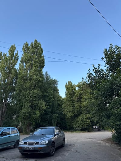 The image shows two cars parked on a paved road bordered by a dense line of trees. The sky is clear and blue, suggesting it is daytime, likely late afternoon given the soft lighting. The trees are full of green leaves, indicating a warm season. The cars are positioned diagonally on the right side of the frame, with a grey sedan in the foreground and a lighter blue car partially visible behind it. The grey sedan has a license plate that reads "A412TA 126". In the background, the trees create a lush, natural backdrop, partially obscuring a glimpse of other vehicles further down the road. The overall scene conveys a sense of everyday life in a suburban or semi-rural area. The location is identified as Verkhnerusskoye, Russia.