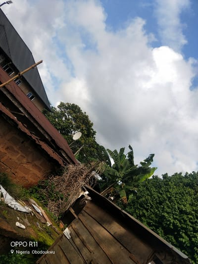 The image shows an outdoor scene under a bright, cloudy sky. In the foreground, there is a weathered wooden structure with a corrugated metal roof. To the left, a brick wall is partially visible, covered in moss and overgrown with dry, dead vegetation and some greenery. A white plastic bottle and other debris are scattered on the ground.
Further into the scene, behind the wooden structure and brick wall, are lush green trees, including banana trees with large, distinctive leaves. A satellite dish is mounted on a pole, facing upwards. In the background, a multi-story building with a dark, sloping roof and visible windows can be seen. A long, wooden pole extends diagonally across the building and into the sky. The overall impression is of a somewhat rural or developing area.
The weather appears to be fair with scattered clouds and bright daylight, suggesting it is daytime. The location is identified by visible text at the bottom left of the image: "OPPO R11" and "Nigeria Obodoukwu".