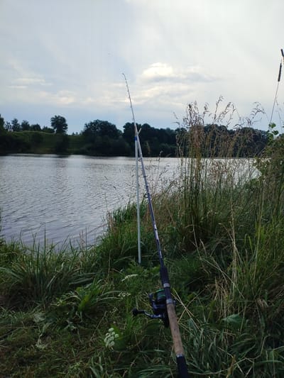 This is a photograph of a fishing setup by a calm body of water, likely a river or lake, under an overcast sky. Two fishing rods are visible; one is a white rod propped up in the grass, and the other, a darker rod with a fishing reel, is in the foreground, leaning against the tall grasses. The water reflects the muted tones of the sky, creating a peaceful, serene atmosphere.
The banks of the water are lined with lush green grass and reeds. In the background, a line of trees forms a dark silhouette against the horizon. The time of day appears to be late afternoon or early evening, given the soft, diffused light and the cloudy weather. The location is identified as Гаранскі сельскі Савет, Belarus.
There is some text visible on the darker fishing rod. It reads "Daiwa," a brand of fishing equipment, and below that, "EXCELER LT." The scene evokes a sense of quiet anticipation, typical of a fishing expedition, with no people present. The overall mood is tranquil and natural.