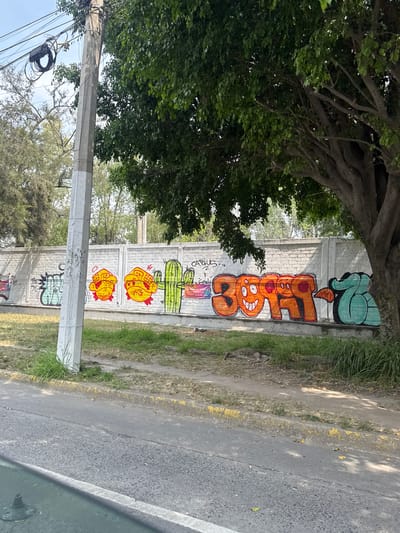 The image depicts a street scene in Zapopan, Mexico. A concrete wall runs parallel to the road, covered in various graffiti art. The graffiti includes an orange cartoon face with large teeth, a green cactus, and several other stylized figures. A tree with dense green foliage partially obscures the view of the wall. A gray concrete utility pole stands in front of the wall, with power lines extending from it. The road is asphalt, with a yellow curb. Grass and weeds grow along the edge of the road and against the wall. The sky is visible in the upper left corner.