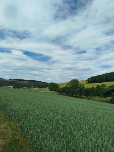 This media file depicts a vast, green field of crops, likely wheat, stretching across the foreground and midground. The field appears to be in the early stages of growth, with the plants tall and verdant. To the left of the field, a red tractor is parked in front of a white building with a red roof, suggesting agricultural activity. In the background, rolling hills are covered with lush green trees and lighter green fields, creating a pastoral landscape. A line of trees separates the foreground field from the background hills. The sky above is a mix of blue patches and scattered white clouds, indicating a partly cloudy day. The overall scene conveys a sense of rural tranquility and the bounty of nature. The location is identified as Boxberg, Germany. There is no visible text in the image.