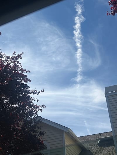 A bright, clear day with a blue sky is visible above the rooftops of houses in Sammamish, United States of America. A solitary, thin contrail stretches vertically up the center of the sky, appearing as a white line against the blue. Wispy, cirrus clouds are scattered across the sky. In the foreground, on the left side of the image, the dark red leaves of a tree are silhouetted against the sky. On the right, a portion of a house is visible, with light-colored siding. Another house with a dark, shingled roof is partially visible in the lower right corner.