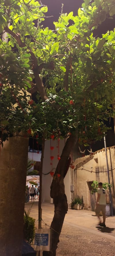 The image shows a tree decorated with numerous small, red heart-shaped ornaments and red ribbons, hanging from its branches. The tree is in an outdoor setting, likely a street or pathway, with stone buildings and other greenery visible in the background. Several people are walking in the distance, appearing to be tourists. One man in a light-colored t-shirt and shorts is walking away from the camera towards the right side of the frame. A sign with Italian text is attached to a pole near the tree. The lighting suggests it is evening or nighttime. The scene is consistent with decorations for a festival or holiday in San Vito Lo Capo, Italy.