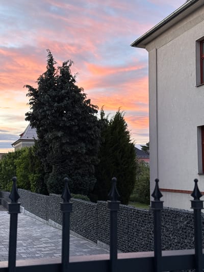 This is a photograph taken at dusk, featuring a soft, colorful sky with hues of pink, orange, and pale blue. In the foreground, a dark metal fence with pointed finials is visible, obscuring a walkway paved with light gray rectangular stones. Beyond the walkway is a gabion wall filled with dark gray stones. A large, dark green evergreen tree dominates the left side of the frame, with a slightly lighter green conifer to its right. In the background, a building with a sloped, light gray roof and a prominent white structure with a pointed roof are visible amongst other trees and vegetation. A light-colored building with a red-framed window is on the right side of the image, its gray stucco facade taking up a significant portion of the right frame. The overall scene depicts a suburban or residential area with a focus on the interplay of natural light and man-made structures.