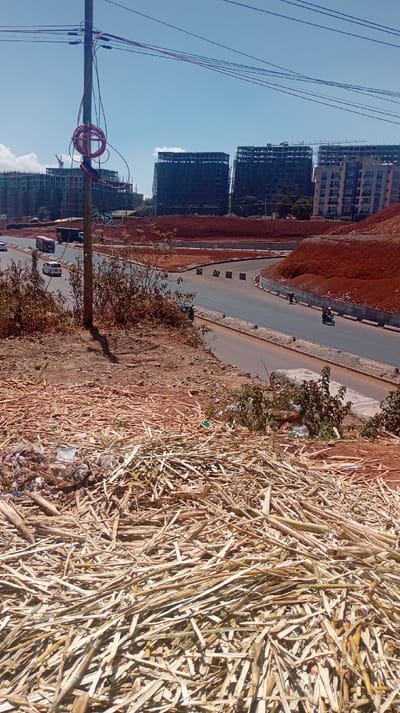 The image captures a bustling construction landscape under a bright, clear blue sky.
In the immediate foreground, a substantial pile of dried, light-colored plant material, resembling sugarcane husks or bamboo stalks, covers the ground. Mixed within this organic debris are various pieces of litter, including plastic bags and wrappers. The ground beneath and surrounding this pile consists of reddish-brown, loose earth, indicative of recently disturbed soil, possibly from excavation or construction activities.
Moving into the midground, a steep, reddish-brown embankment slopes down towards a newly constructed multi-lane road. On the left side of this embankment stands a wooden utility pole, from which several power lines extend upwards and across the frame. A coil of bright red and black electrical wires is loosely wrapped around the pole. Sparse, dry-looking shrubs and weeds cling to the embankment.
The road itself appears to be a major artery, possibly an underpass or a graded highway section, given the varying elevations of the surrounding terrain. Concrete barriers or blocks line sections of the road. Several vehicles are visible on the road: a white car, a red and black truck, another black truck, and at least two motorcycles, one of which has a rider.
In the background, the scene is dominated by multiple large, multi-story buildings under construction. Most of these buildings are in various stages of development, with visible concrete frameworks and scaffolding, suggesting ongoing structural work. On the far right, one building appears more complete, with some exterior finishing and windows in place. Construction cranes are visible against the sky, towering above some of the unfinished structures.
The overall impression is one of intense development and urban expansion. The time of day is clearly mid-day, with strong sunlight casting defined shadows and contributing to the vivid blue of the sky, which is almost entirely cloudless. No discernible text is visible within the image.