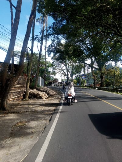 This image depicts a daytime scene on a paved road in Phonengam, Laos. The road, marked with a white solid line on the shoulder and a yellow solid line indicating the center, extends into the distance with a gentle curve to the left. A white scooter, viewed from the rear, is positioned centrally in the foreground, traveling away from the viewer. It carries two individuals: a driver, partially obscured, and a passenger wearing a light-colored hijab and long-sleeved top, dark pants, and light-colored shoes. Further ahead on the road, another scooter with two riders is visible.

To the left of the road, a dirt and gravel shoulder transitions into a verge featuring several tall, slender trees with sparse foliage. Adjacent to these trees, stacked bamboo slats or similar wooden materials are piled horizontally on the ground. A rudimentary bamboo fence or structure stands upright nearby. Overhead, power lines or communication cables are visible against a clear blue sky. Buildings or shelters are partially visible further down the road on this side.

To the right of the road, a dense canopy of large, mature trees with abundant green foliage lines the road, casting prominent shadows onto the asphalt. A metal guardrail runs beneath these trees along the roadside. In the mid-ground, a blue sign with white text is affixed to a metal structure. Distant hills or mountains are discernible in the far background on the right. The scene is brightly lit by sunlight, indicating clear weather.