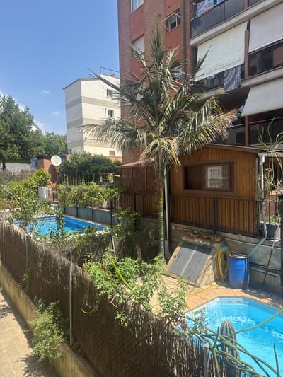 The image depicts a residential outdoor area in Lloret de Mar, Spain, featuring a small, bright blue swimming pool with a prominent cactus. The pool is surrounded by lush greenery and a fence made of woven branches. Adjacent to the pool is a wooden shed with a window, and beyond that, a multi-story brick building. Several potted plants are visible on a raised area near the shed, along with a blue plastic barrel and a yellow hose. In the background, other residential buildings and trees are visible under a clear blue sky. The scene appears to be a private backyard, likely belonging to one of the apartments in the adjacent buildings.