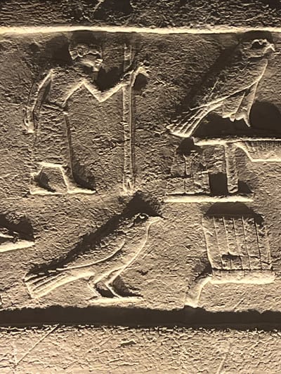 This media file is a close-up photograph of an ancient Egyptian relief carving, likely made of stone. The carving depicts several figures and symbols.
In the upper left, a bird with outstretched wings is prominently featured. To its right are hieroglyphic symbols, including a rectangular shape with horizontal lines, possibly representing a granary or a bundle of reeds, and vertical elements.
Below these, a human figure is depicted in a contorted posture, possibly pulling or carrying something. The figure appears to be a man, with a head and torso clearly visible, and limbs engaged in strenuous activity. To the right of this human figure is another bird, this one facing to the left with its beak open, possibly in mid-call or attack. The style of the carving is characteristic of ancient Egyptian art, with figures rendered in profile and a focus on symbolic representation.
The relief is set against a textured, stone background, with evidence of age and weathering. The lighting suggests the photograph was taken with artificial light, highlighting the carved details and casting shadows that emphasize the depth of the relief. There is no visible text that can be readily deciphered without specialized knowledge of hieroglyphics. The scene likely represents a narrative or ritualistic event from ancient Egyptian life or mythology. The location context provided, Cologny, Switzerland, is incongruous with the subject matter and likely refers to where the photograph was taken, not the origin of the artifact.