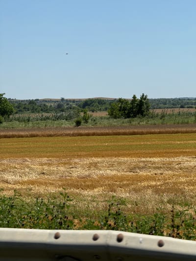 This media file depicts a rural landscape scene, likely in Novotroitskaya, Russia. The foreground is dominated by a partially visible light-colored concrete barrier, possibly part of a roadside structure. Beyond this barrier, the scene opens to a field of golden, harvested wheat, with distinct rows indicating recent agricultural activity. Adjacent to the wheat field is a strip of green vegetation, featuring taller grasses and scattered darker elements that could be wildflowers or weeds. Further in the background, a dense line of trees forms a dark green backdrop, suggesting a forest or wooded area. The sky above is a clear, pale blue, indicating fair weather and likely daytime. A small, dark object, possibly an insect or a bird, is visible in the sky. The overall impression is one of a serene, agricultural landscape under a bright sky. There is no visible text in the image.