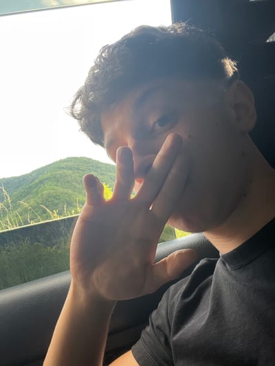 A young man with dark, curly hair is captured in a selfie taken from inside a vehicle, likely in Pechinska, Bulgaria, given the mountainous, green landscape visible through the window. He is holding his right hand up, partially obscuring his face, with his fingers splayed. The sunlight is strong, creating a bright glare on the left side of the image and casting shadows across his face and hair. He is wearing a black t-shirt. The background shows lush, forested hillsides and a bright sky, suggesting a daytime scene. The interior of the car is visible along the bottom and right edges, with a textured black surface of the car door.