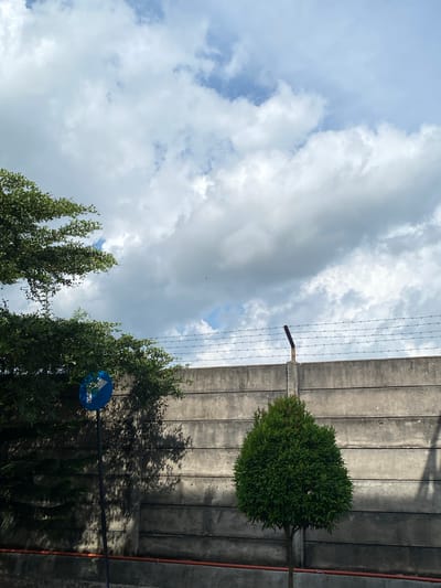 The image depicts an outdoor scene in Gambut Barat, Indonesia, under a cloudy sky. In the foreground, on the left, a leafy green tree is visible, partially obscuring a blue circular traffic sign with a white arrow pointing to the right. A thin black pole supports the sign. To the right of the sign, a small, neatly trimmed green tree stands in front of a concrete wall. The wall, constructed from horizontal concrete panels, runs across the midground. Along the top of the wall, barbed wire is strung on metal posts, with one post prominently visible. Shadows from the trees are cast on the concrete wall. A thin orange line is visible along the bottom of the wall. The sky above is filled with a mix of white and gray clouds, with patches of blue sky visible.