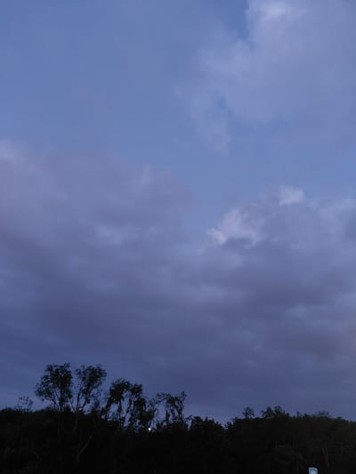 The image depicts a twilight scene with a dark silhouette of trees and foliage against a dusky sky. The sky is filled with various shades of blue and gray clouds, suggesting either dawn or dusk. Some lighter patches of clouds are visible, interspersed with darker, denser formations. The foreground is dominated by the dark shapes of trees, with their branches reaching upwards. The overall mood is somber and tranquil. The location is identified as Lexington, United States of America, though no specific landmarks or details within Lexington are discernable from the image itself.