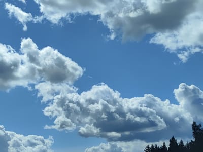 A wide-angle, eye-level shot captures a bright, partly cloudy sky over Katlakalns, Latvia. The sky is a vibrant blue, with fluffy white cumulus clouds scattered throughout. Some of the clouds are darker and more ominous, suggesting a potential for rain. In the lower right corner, the dark silhouettes of evergreen trees line the horizon, indicating a natural or forested area. There are no people or man-made objects visible in the frame.