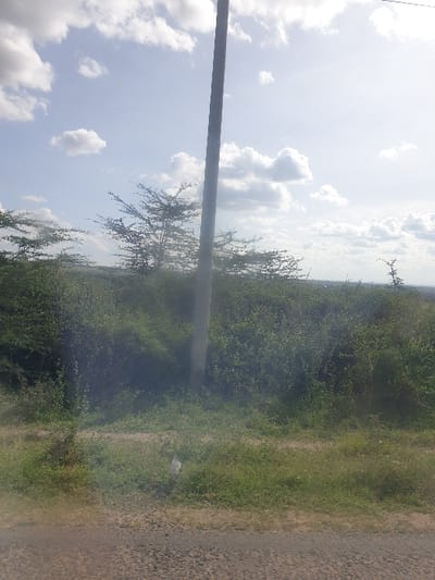 The image displays an outdoor scene in Kinanie ward, Kenya, under a bright, partly cloudy sky. A dark, vertical utility pole stands slightly right of center, extending from the lower frame towards the upper. The immediate foreground consists of a dark, granular ground surface, consistent with a road, bordered by a strip of dry grass and bare earth. A small, crumpled white object is visible on this strip near the base of the pole. Beyond this, the midground is dominated by dense green shrubs and several thorny trees with sparse canopy. The background presents a hazy horizon line, with faint outlines of distant topography or structures visible beneath the bright sky containing scattered cumulus clouds. No persons are present.