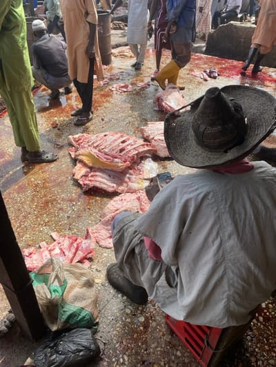 The scene is an active open-air meat market in Kofar Mazugal, Nigeria, characterized by a wet, concrete ground heavily stained with blood. In the immediate foreground, a person is seated on a red plastic crate, viewed from behind. This individual wears a weathered, wide-brimmed straw hat, a light grey or off-white long-sleeved tunic over a pink garment, and dark rubber boots. Directly in front, a large pile of raw red meat, primarily composed of bone-in rib sections and other cuts, lies on the ground. Smaller pieces of meat and pools of blood are scattered across the wet surface. To the left, another person stands in light green trousers and sandals, near a squatting figure wearing a dark shirt and a light head covering. In the mid-ground, several individuals are present, including one wearing a light brown tunic and dark pants, and another wearing dark clothing with bright yellow rubber boots. A dark metal barrel and large grey stones are visible in the background. Two bags, one striped green and beige, and one black plastic, are on the ground in the lower left. The environment suggests ongoing butchering and commercial activity.
