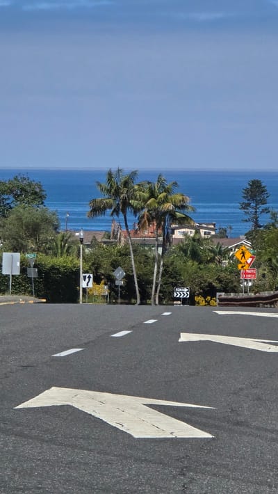 This media file displays a scenic view of the Pacific Ocean from a roadside in Encinitas, California. The image is oriented vertically, capturing the expansive blue sky and the calm, blue ocean. Lush green trees and palm trees dominate the mid-ground, with a few houses nestled amongst the foliage. A paved road with white lane markings, including a large arrow indicating a turn, runs along the right side of the frame. Several traffic signs are visible along the roadside. One sign shows a yellow pedestrian crossing symbol with an orange background, and another reads "TO TRAFFIC IN CIRCLE". Further down, a black and white sign with arrows indicates traffic merging. Another sign has a curved arrow pointing left. A street sign reading "LITHO" is also visible. The time of day appears to be daytime with clear, sunny weather, indicated by the bright blue sky and the shadows cast by the trees and signs. The overall impression is one of a beautiful coastal drive with the ocean as a constant backdrop.