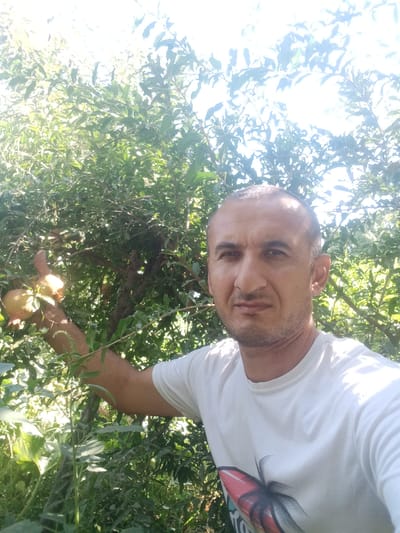 A man, appearing to be in his late 30s or early 40s, is pictured outdoors in a garden setting. He has short, dark hair, a shaven head, and a light beard. He is wearing a white t-shirt with a graphic design on the front. His right arm is extended, and his hand is holding two small pomegranates. The man is looking at the camera with a neutral expression. The background is filled with lush green foliage from a tree, with some of the leaves appearing sun-bleached at the top of the frame. Sunlight filters through the leaves, creating bright spots and shadows. The image was taken in the city of Karaganda, Uzbekistan.