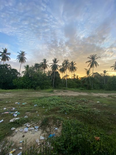 The image depicts a scene in Seuneubok Teungoh, Indonesia, at dusk or dawn. Several coconut palm trees line the horizon against a backdrop of a sky with layered clouds and a warm, golden light. The foreground consists of overgrown foliage, grass, and scattered trash. The ground appears to be a mix of dirt and grass. There are no people visible in the image. The dominant elements are the natural environment juxtaposed with the presence of litter.