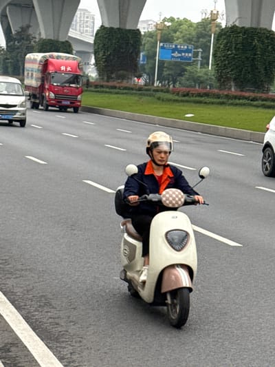 An image captures a daytime scene on a multi-lane urban road in Shuangfu, China, under what appears to be overcast conditions, with the road surface appearing wet.

The primary subject is a person riding an electric scooter, positioned in one of the central lanes. The rider is wearing a light-colored helmet with a clear visor and an orange top under a dark jacket. The scooter is predominantly light beige or cream-colored with brown or rose-gold accents, including a patterned cushion on the handlebars. The rider's hands are on the handlebars, maneuvering the scooter.

In the background, a red truck with a large, covered load is visible in an adjacent lane, and a white car's wheel can be seen towards the top. The road is marked with white dashed lane lines. To the left of the road, there's a green median strip with bushes and trees. Overhead, large concrete structures indicate an elevated expressway or interchange. Blue road signs with Chinese characters are visible among the foliage, confirming the location. Chinese characters are also present on the cab of the red truck. Street lights are intermittently spaced along the median.