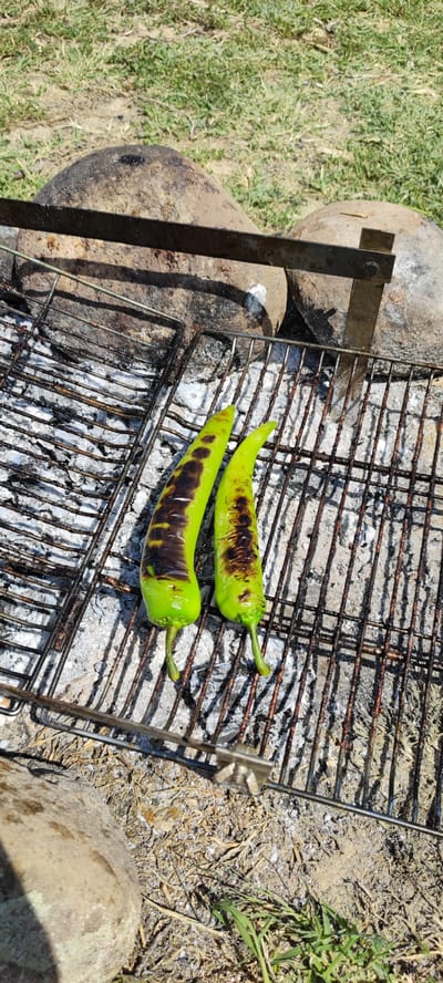 Two green chili peppers are placed on a barbecue grill over ashes. The peppers are charred in places, indicating they have been grilled. The grill is situated outdoors on the ground, surrounded by dry grass and rocks. Two large rocks are visible behind the grill, one of which has a metal support attached. The scene appears to be in Lanjazat, Armenia, with the sun casting shadows.