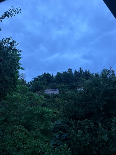 The image depicts a dense canopy of lush green trees, with a clear blue sky peeking through in the upper left quadrant. A small, rectangular structure, possibly a birdhouse or a small building, is nestled within the foliage of the trees. The scene is shot from a low angle, looking upwards, suggesting the viewer is at ground level. The lighting indicates it is daytime, though the sky's overcast nature and the deep shadows within the trees suggest it could be late afternoon or early evening, possibly before a storm or after one has passed. No people are visible in the frame. The overall mood is serene and natural, with the rich greenery dominating the visual field. The image does not contain any visible text. The location is Stalinisubani, Georgia.