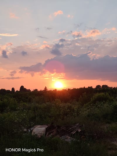 The image depicts a sunset over a wooded area in Turbiv, Ukraine. The sky is filled with soft pink and orange hues, with scattered clouds tinged by the setting sun. The sun itself is a bright orb peeking through the trees on the horizon, casting a warm glow across the landscape. A faint lens flare is visible in the upper right portion of the sky.
The foreground is dominated by a dense canopy of green trees, with some lighter foliage and undergrowth visible closer to the ground. In the lower portion of the image, there is a pile of debris, including pieces of wood and what appears to be a dilapidated structure, partially obscured by overgrown vegetation. The overall mood is serene and natural, with a hint of desolation due to the discarded materials.
The time of day is clearly sunset, indicated by the low position of the sun and the warm, diffused light. The weather appears clear, with only scattered clouds. There are no people visible in the image.
The text "HONOR Magic6 Pro" is visible in the bottom left corner of the image, indicating it was taken with this device.