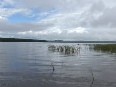 The image shows a wide, calm lake with a distant, tree-covered shoreline. In the foreground, thin reeds emerge from the water, some bent by a gentle breeze. The sky is overcast with patches of blue peeking through, and clouds are reflected on the water's surface. A low, dark hill is visible on the horizon, silhouetted against the sky. The scene evokes a sense of tranquility and natural beauty, likely captured in the city of Pakly, Russia, given the context. There are no people or specific objects of interest other than the natural elements.
