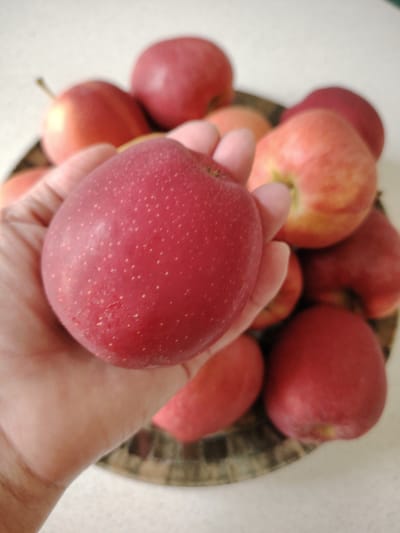 A close-up, slightly blurry image shows a person's hand holding a ripe, red apple in the foreground. The apple has small, light-colored speckles on its surface. In the background, a bowl or plate is filled with more red apples, some with yellow and green hues. The surface appears to be a light-colored countertop or table. The image provides no information or context related to the city of Кривец, Russia.