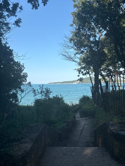The image depicts a serene coastal view from a slightly elevated perspective, likely a path or terrace overlooking the sea. Lush green foliage frames the scene, with trees and dense vegetation on either side. In the foreground, a stone pathway or steps lead downwards, hinting at a descent towards the water. The sea itself is a calm expanse of blue, stretching towards a distant, tree-covered coastline.
The time of day appears to be late morning or early afternoon, suggested by the bright, clear blue sky and the quality of light. The weather seems pleasant and sunny, ideal for outdoor enjoyment. The overall atmosphere is peaceful and tranquil, evoking a sense of natural beauty and relaxation.
A prominent feature on the right side of the image is a dark, weathered stone wall, partially covered in moss and vegetation, suggesting it's an old structure. Further back, a dark metal fence can be seen, possibly delineating the property line or a viewpoint. The distant landmass is a soft green silhouette against the bright horizon.
While there are no people or specific objects clearly visible, the scene implies a place of natural retreat, perhaps a garden, park, or a scenic overlook. The combination of natural elements and weathered man-made structures creates a timeless and inviting ambiance. No text is visible in the image. The location context provided, Atiya, Bulgaria, aligns with the coastal scenery depicted.