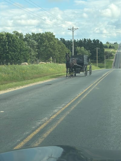 A black horse pulls a black buggy on a two-lane asphalt road. The road has yellow double lines down the center. To the left of the road is a grassy field with a wire fence and a few sheep. To the right of the road, the land slopes upwards, covered with trees and power lines on utility poles. The sky is blue with white, puffy clouds. The image appears to have been taken from a moving vehicle.