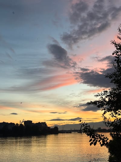 A photograph captures a sunset over the Neva River in Zanevka, Russia. The sky is a blend of soft pink, orange, and blue hues, with scattered gray clouds. The river reflects the vibrant colors of the sky, creating a shimmering golden surface. In the foreground, the dark silhouette of a leafy tree branches across the right side of the frame. Across the river, the cityscape of Zanevka is visible as a dark silhouette against the bright sky. Buildings, trees, and industrial structures like a smoking chimney and construction cranes can be seen. A bridge spans the river in the distance. There are no visible people or animals in the image. The scene is serene and atmospheric, dominated by the natural beauty of the sunset and the urban landscape.