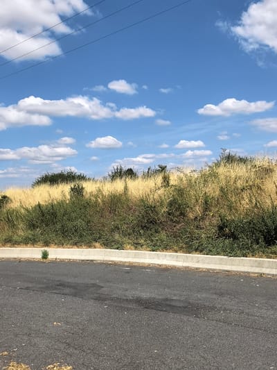 This media file depicts an outdoor scene featuring a road and a grassy embankment under a bright blue sky dotted with white, fluffy clouds. The embankment is covered with dry, golden grass interspersed with green bushes and some trees in the background. A concrete curb separates the asphalt road from the grassy area. The lighting suggests it is daytime, likely a sunny day given the clear sky and well-lit landscape. There are no people or discernible objects beyond the natural elements and the road infrastructure. The image captures a serene, rural or semi-rural setting in Janvry, France, with no specific activity or event taking place. The weather appears to be fair and warm. There is no visible text in the image.