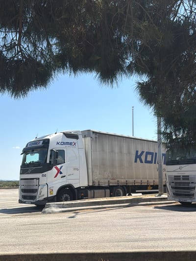 In Tavel, France, an outdoor daytime scene captures two white semi-trucks parked on asphalt. The foreground features a concrete curb and a road. The primary truck, a Volvo, displays the "KOIMEX" logo on its cab and trailer. The trailer also features a large blue "KOIMEX" logo. The truck's license plate is visible and reads "PZ 48805". A second white semi-truck is partially visible to the right. The background shows a clear blue sky and distant green trees. Overhead, the branches of a dark green pine tree partially obscure the view.