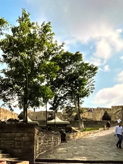 The image depicts a sunlit scene featuring lush green trees and a stone structure, possibly a historic building or fortress. The sky above is bright blue with fluffy white clouds, suggesting pleasant weather during the daytime.
In the background, several individuals are visible. One person, wearing a white shirt and dark pants, is walking along a paved walkway. Other figures are present further back, near the stone structure, but are less distinct. The stone structure itself appears aged and weathered, constructed from large, rough-hewn blocks, with some sections showing intricate detailing or decorative elements. Some of the stone blocks are intricately carved. Green foliage from trees encroaches on the scene, with branches and leaves extending into the frame, creating a contrast with the man-made architecture. The overall impression is one of a historical site or a park with architectural features, possibly in Lopatino, Russia, given the context. There is no visible text in the image.
