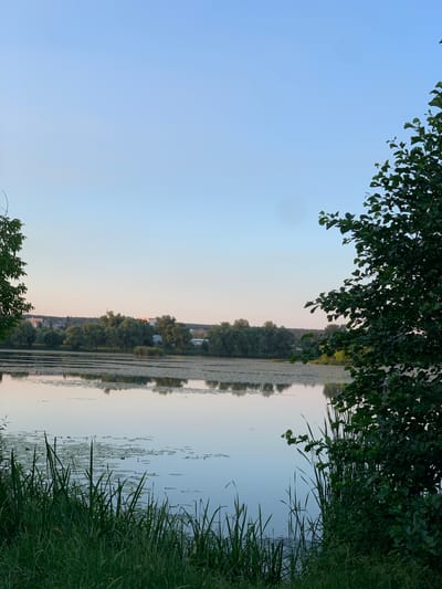 This is a vertically oriented, low-angle, eye-level shot of a tranquil lake at dusk, with a reflection of the sky and distant treeline visible in the water. The scene is dominated by natural elements. In the foreground, lush green grass and the leaves of trees frame the right and top edges of the image, respectively, creating a sense of immersion in nature. The lake itself occupies the majority of the frame, its surface smooth and reflective, dotted with lily pads.
The far bank of the lake is lined with a dense, dark green forest, giving way to a hint of buildings and structures interspersed within the trees, suggesting a nearby settlement or town. A soft, warm glow on the horizon, likely from the setting sun, casts a gentle light and subtle orange hue across the water's surface and the sky, indicating it is late evening. The sky is a pale blue, transitioning to a lighter shade near the horizon.
The overall mood is peaceful and serene, evoking a sense of calm. There is no visible text in the image. The location context is Pisochyn, Ukraine.
