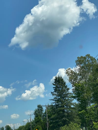 The image shows a view of the sky with scattered clouds and the tops of trees. There are power lines visible across the scene. The sky is bright blue, indicating daytime. The trees are green and appear to be deciduous and coniferous. The scene suggests an outdoor environment, possibly a rural or suburban area. Without additional context or landmarks, the specific location in Ripon, Canada cannot be determined.