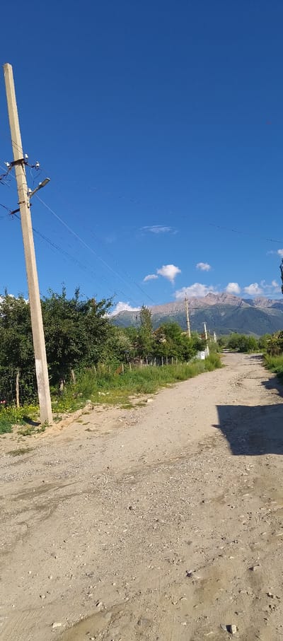 A dirt road winds through a rural landscape with mountains in the background. A concrete utility pole with wires and a light fixture stands to the left of the road. Green trees and grass line the sides of the road, with a fence visible on the left. The sky is a clear blue with a few scattered clouds. The scene appears to be in or near Barskoon, Kyrgyzstan, given the characteristic mountainous terrain and rural settlement style.